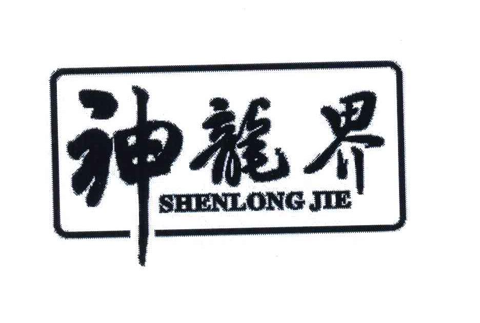 神龙界