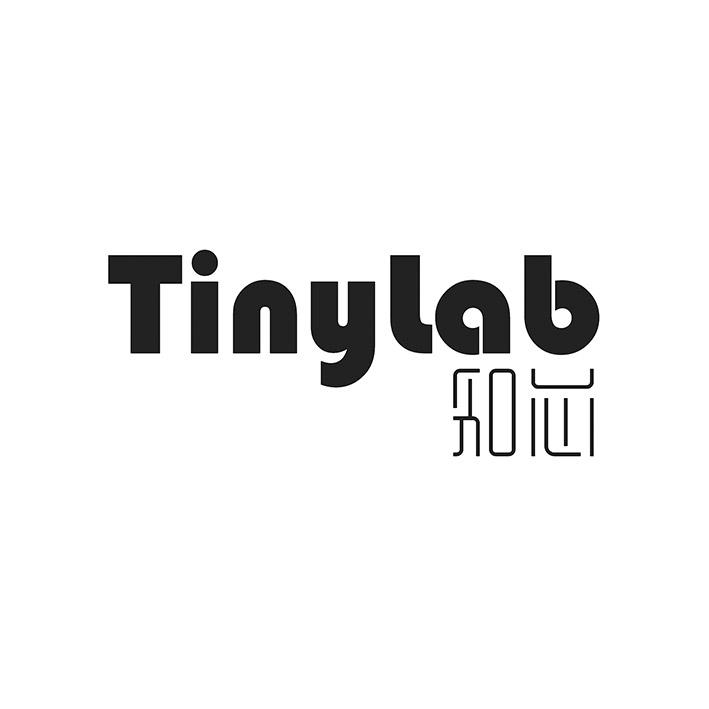 TINYLAB 知芯