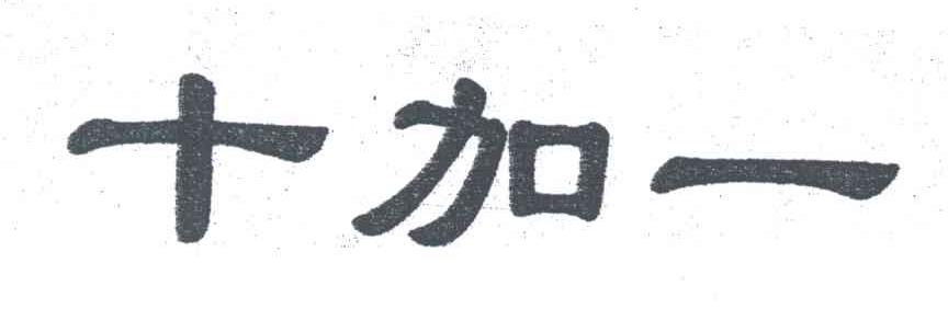 十加一