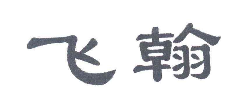 飞翰