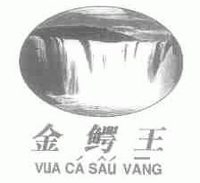 金鳄王;VUA CA SAU VANG