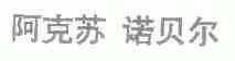 阿克苏诺贝尔