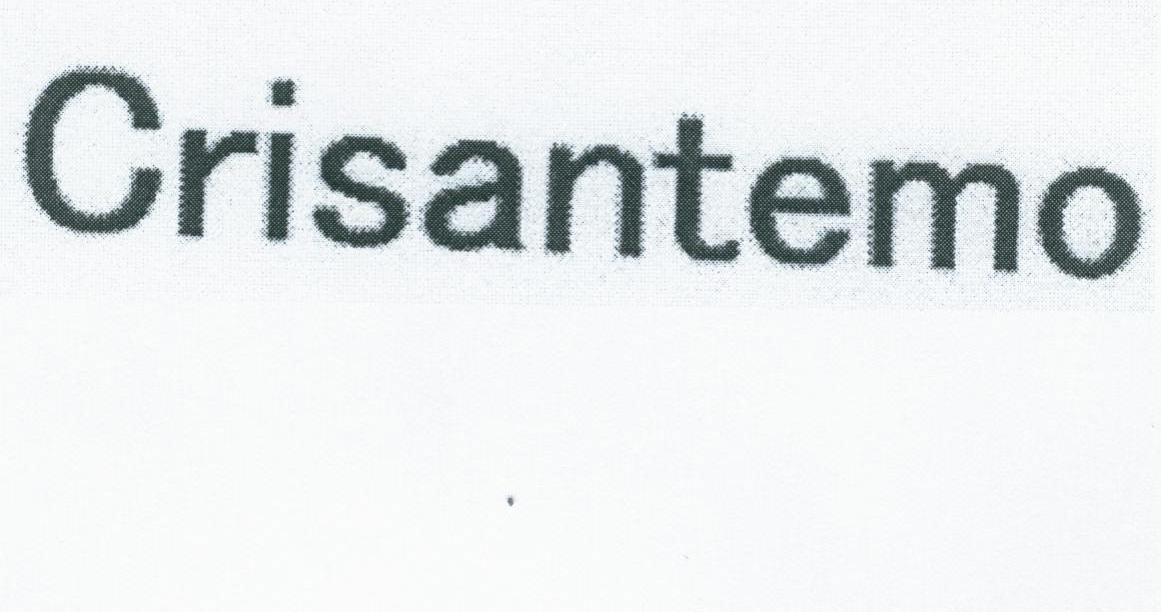 CRISANTEMO