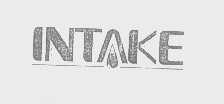 INTAKE