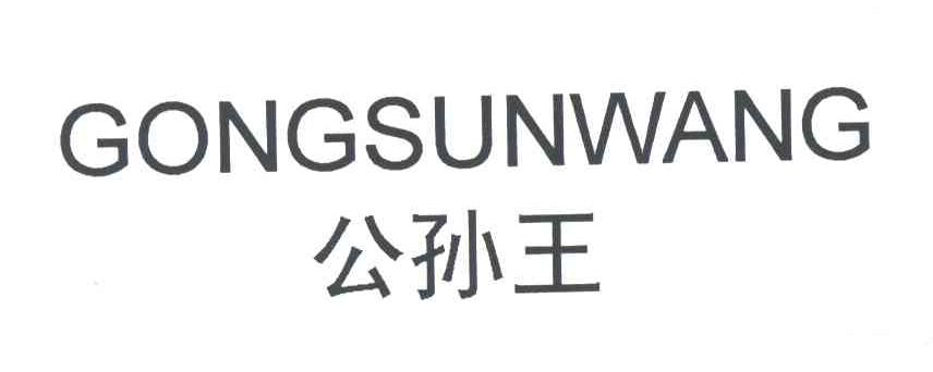 公孙王