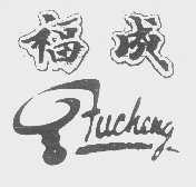福成   FUCHENG