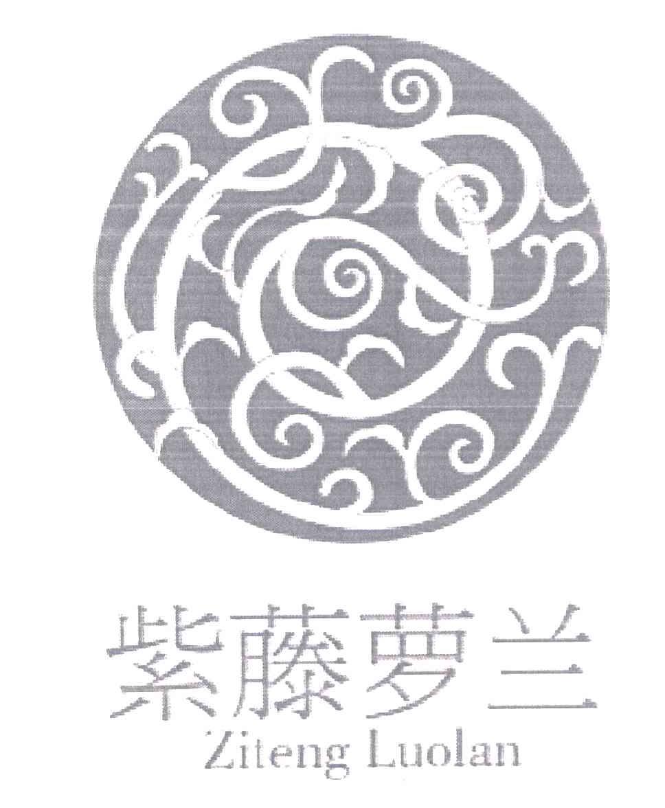 紫藤萝兰