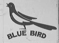BLUE BIRD