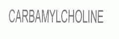 CARBAMYLCHOLINE