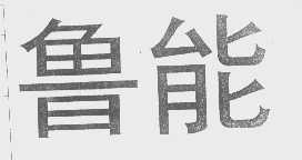 鲁能