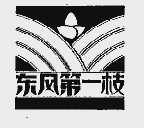 东风第一枝