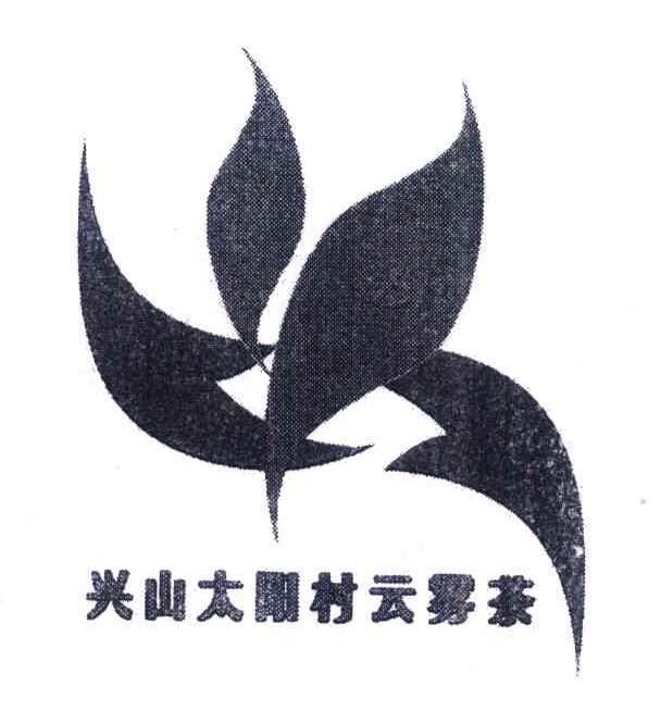 兴山太阳村云雾茶