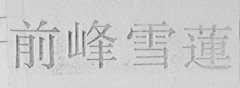 前峰雪莲