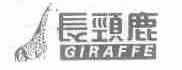 长颈鹿;GIRAFFE