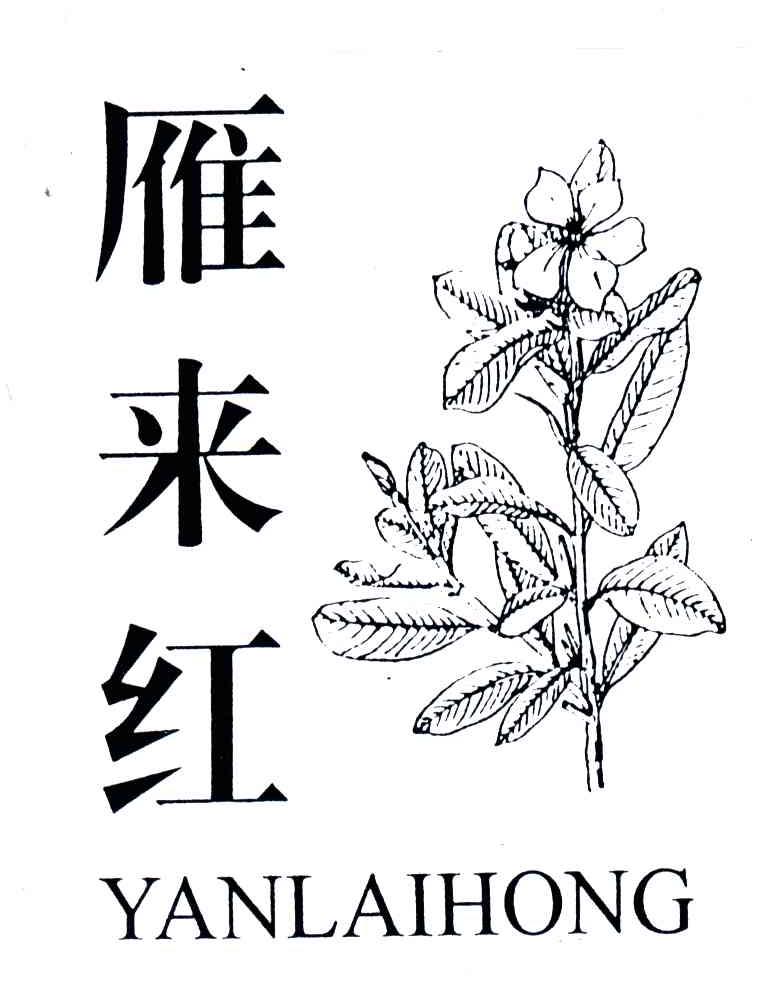 雁来红