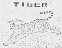 TIGER    虎