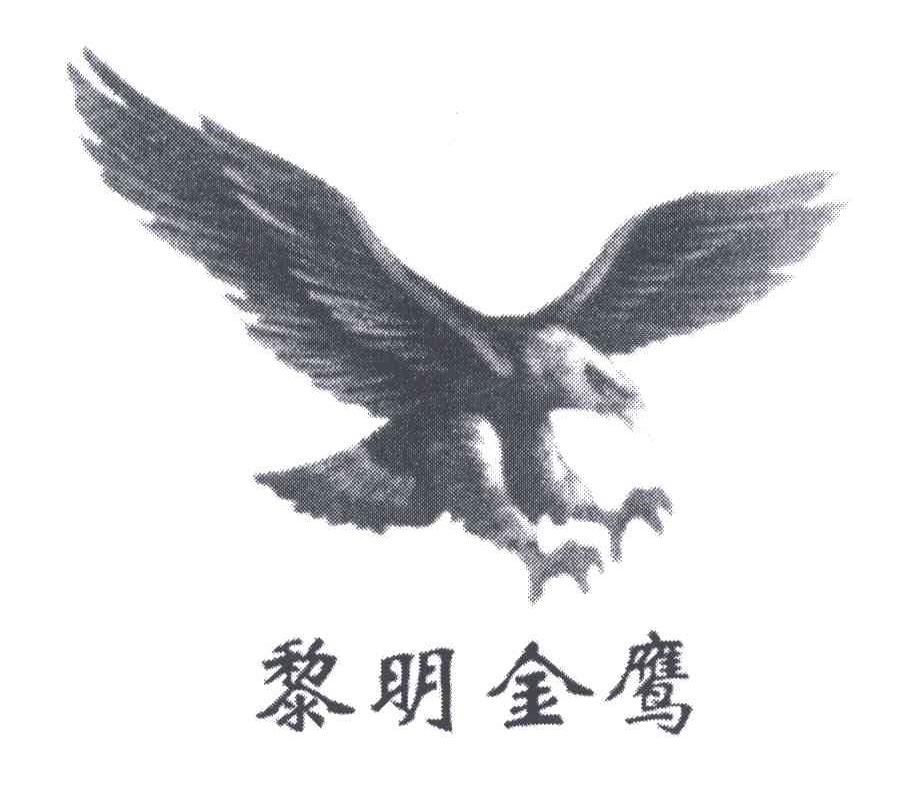 黎明金鹰