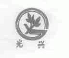 光兴