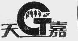 天嘉