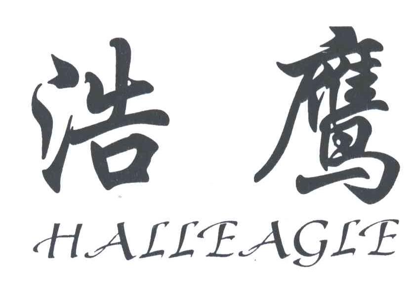 浩鹰HALLEAGLE