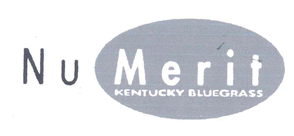 NU MERIT KENTUCKY BLUEGRASS