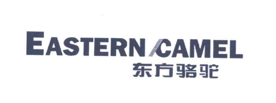 EASTERN CAMEL;东方骆驼