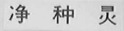 净种灵