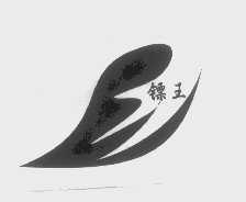 镖王