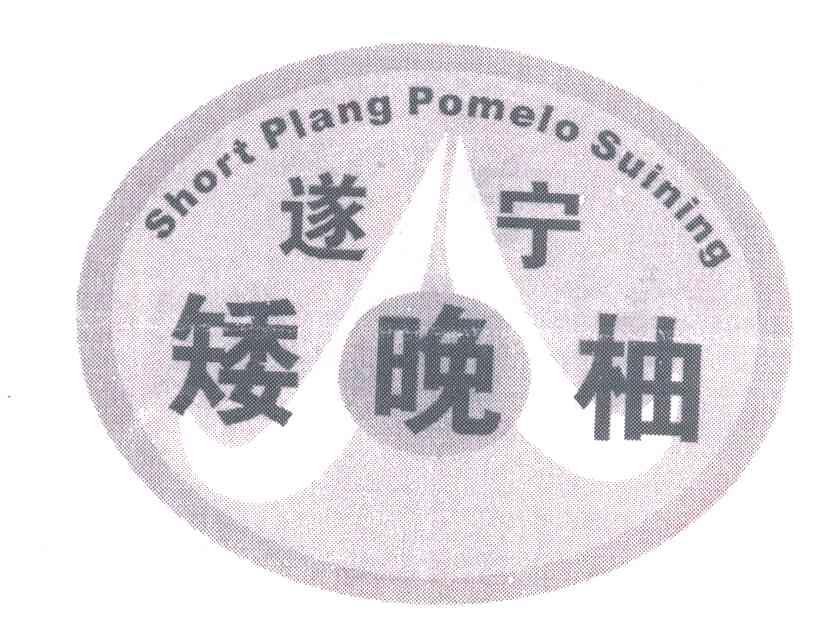 遂宁矮晚柚;SHORT PLANG POMELO SUINING