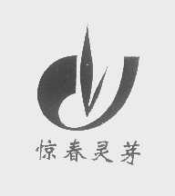 惊春灵芽
