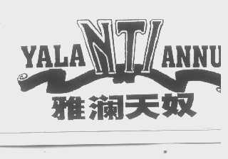 雅澜天奴   NTI