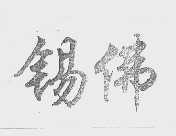 锡佛