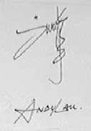 刘德华    ANDY LAU