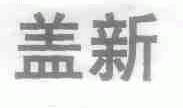 盖新