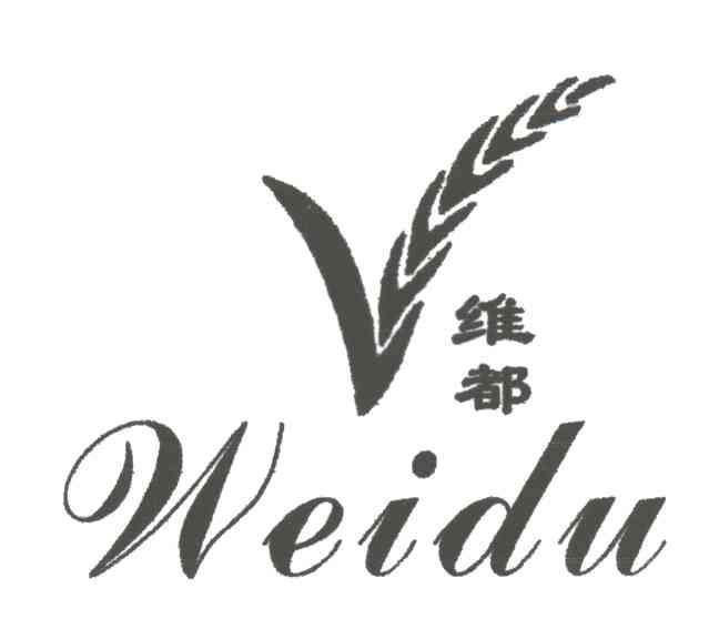 维都;V