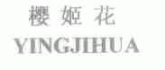 樱姬花