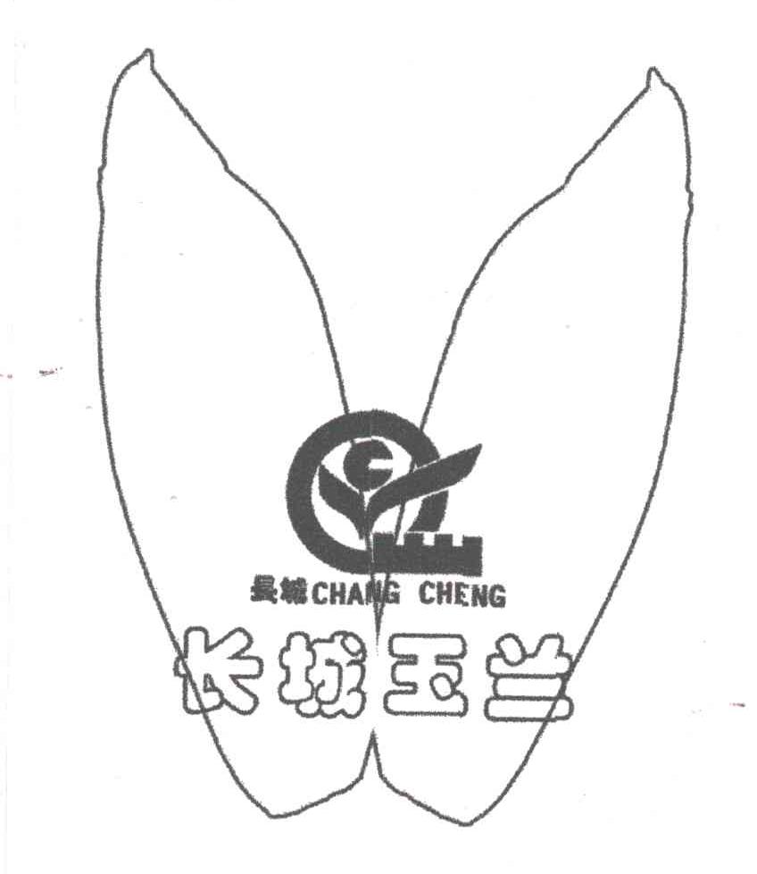长城玉兰;CHANG CHENG;长城