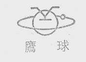 鹰球