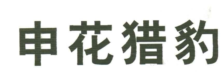 申花猎豹