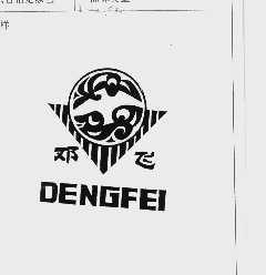 邓飞