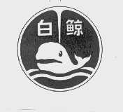 白鲸