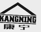 康宁