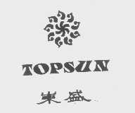 东盛   TOPSUN