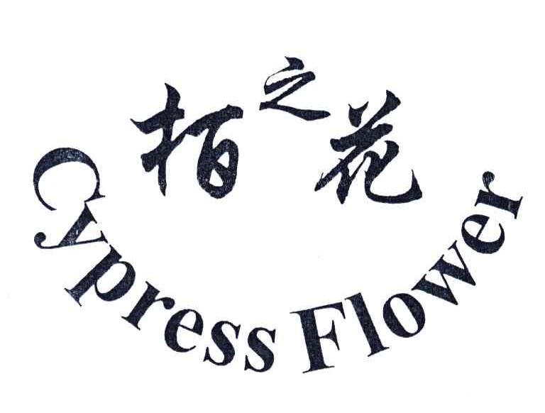 柏之花;CYPRESS FLOWER