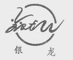 银龙