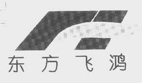 东方飞鸿