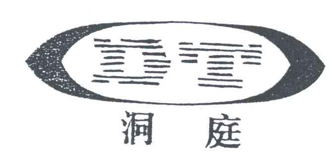 洞庭;DT