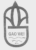 GAO WEI