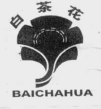 白茶花