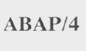 ABAP/4